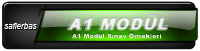 a1 modul