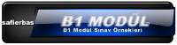b1 modul