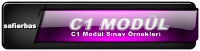 c1 modul